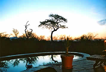 Pool & deck area