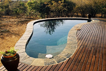 Pool & Deck area