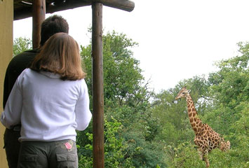 Khumbula Wildlife